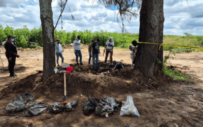 Foto: Colectivo Manos Buscadoras
